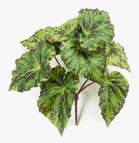 artplants.de Fake painted leaf begonia MEIRA on stick, green-black, 25cm | Faux tropical plant/Artificial Begonia rex