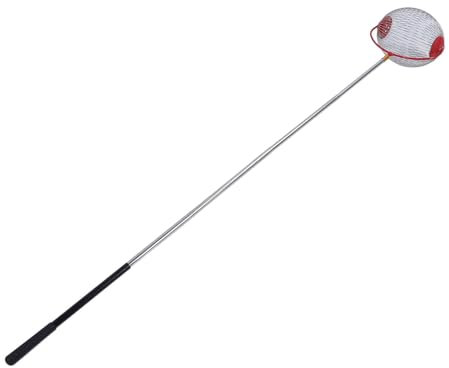 Zerodis Nut Gatherer, Stainless Steel Large Capacity Rolling Acorn Picker Upper Roller Multifunctional Portable Fruit Picker for Chestnuts, Pecans, Chestnut (Small)