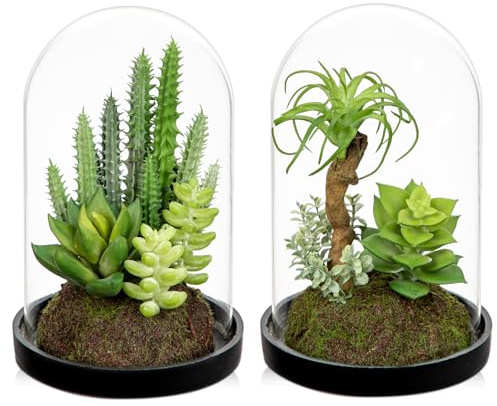 Arborus 2 Stück Künstliche Sukkulenten im Glas Kunstpflanzen Klein | 15 CM Sukkulenten in Glasglocke Künstliche Pflanzen Tisch Deko Dekopflanzen für Wohnzimmer Schlafzimmer Deko