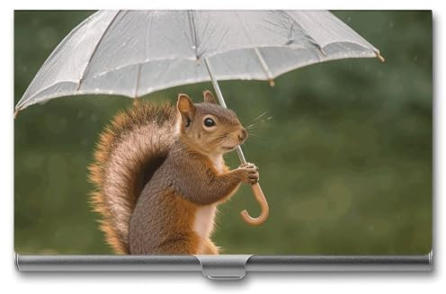 MNBVKL Visitenkartenbox, Eichhörnchen hält einen Regenschirm, bedruckte Visitenkartenbox, strapazierfähige Visitenkartenbox, Reise-Visitenkartenbox, grau, Einheitsgröße, modern, grau, Einheitsgröße,