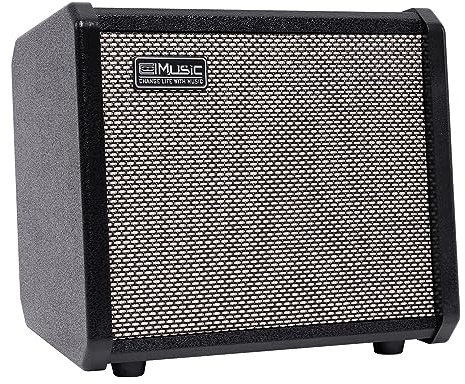 TS20 Bass Combo Amp -20W passend für Bassgitarre, mit 2 Jahren Garantie 6,5 Zoll Lautsprecher, mit Overdrive Schaltung und Mid-Scoop Contour Switch