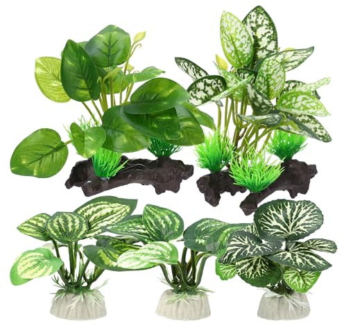 CAPASTEC Plantes de vivarium pour vivarium, plantes de terrarium