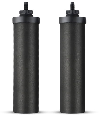 EasyByMall Wasserfilter-Ersatz, 2 Aktivkohle-Wasserfilter für Schwerkraft-Filtration, Reinigungselemente, Reiniger-Ersatz für den Außenbereich