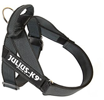 Julius-K9, IDC® Color & Gray® Beltgeschirr