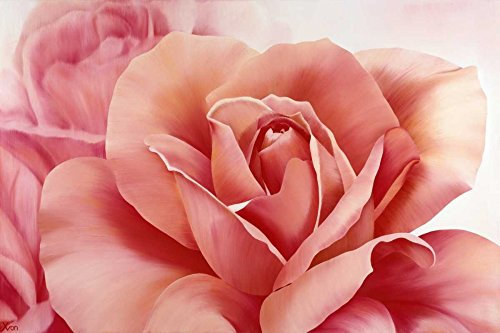 ART-PRINT-on-matt-paper-220gr- Pink Rose II Poelstra-Holzhaus Yvonne - Europäisches horizontales Bild modern trendy neue rote Blume frische Rose Kunstdruck 23_X_35_in