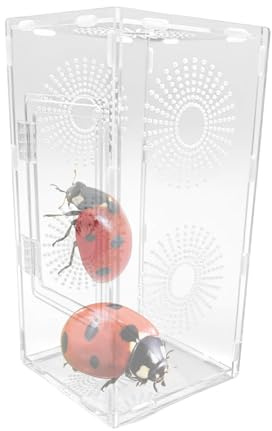 Hábitat de araña saltarina, pequeña Caja de terrario Transparente para Reptiles para Rana Mantis, recinto ventilado Seguro con Puerto de alimentación para niños, Adultos, Adolescentes, exhibición