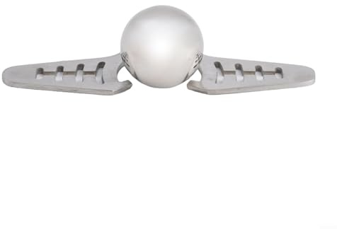 Fauhapyway Bola de hielo de café de acero inoxidable con soporte, piedras de enfriamiento reutilizables para café helado y whisky, cubos de enfriamiento sin dilución (bola de hielo y soporte)