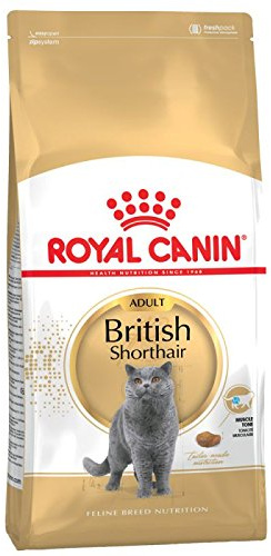 Royal Canin Katzenfutter, Britisch Kurzhaar, 10 kg, 2er-Pack.