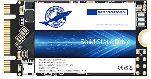 Dogfish SSD M.2 2242 500 GB Solid State Drive Ngff intern stationär dator 6 Gb/s High Performance hårddisk för stationär bärbar dator (500 GB, M.2 2242)