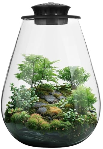 Mini terrario de vidrio de escritorio con luz de crecimiento, maceta para suculentas musgo miniatura, jardinería, pecera Beta, crecimiento de plantas de interior, decoración del hogar de oficina,