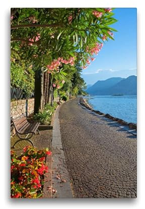 Premium Textil-Leinwand 30 x 45 cm Hoch-Format Seeuferweg am Gardasee, Malcesine | Wandbild, HD-Bild auf Keilrahmen, Fertigbild auf hochwertigem Vlies, Leinwanddruck von SusaZoom