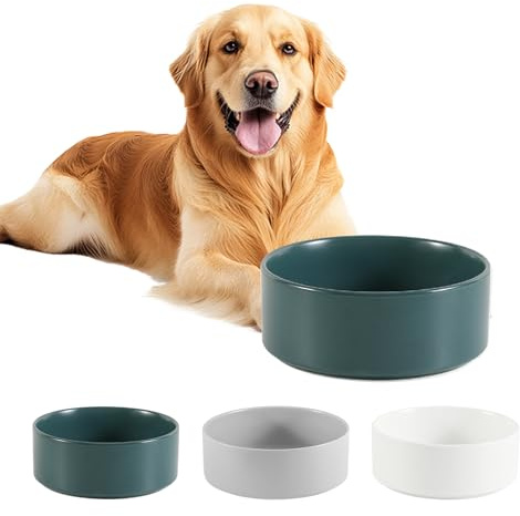 Céramique Gamelle Chien Antidérapante - Bol Chien Croquette et Eau pour Moyen et Grand Modèle - Bol Céramique Antiéclaboussure - 21,5 cm - 750 g / 1750 ML - Vert