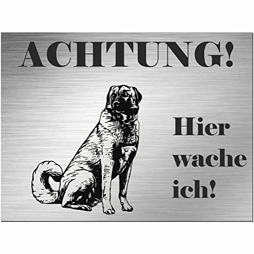 Indigos UG - Schild Kangal Hirtenhund - bedruckt - Achtung Hier wache ich! - Aluverbundplatte Edelstahl Look - 20x15 cm - Spruch - Deko Geschenkidee für Ihren Hund - Zaun - Türschild - Hinweisschild