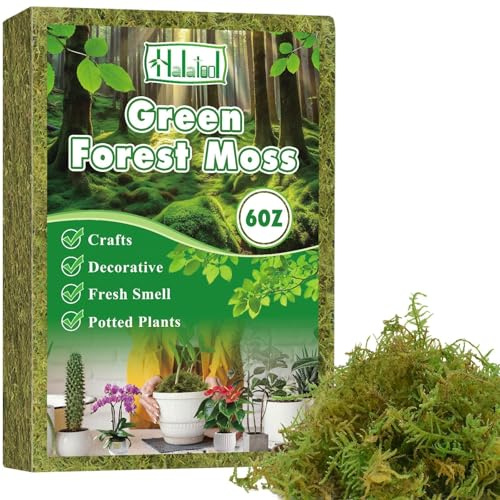 Halatool 170g Moos für Pflanzen, Orchideen Terrarium -Blumenerde -Innenpflanzen mit Feuchtigkeitsunternehmern organischer Dünger, Forest Moos, Zimmerpflanzen, Terrarien, Reptilien & Garten