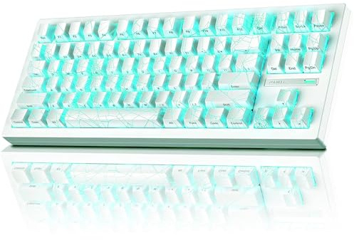 ZORNHER ZH870 Wireless Gaming Mechanical Keyboard,80% White Gaming Keyboard with White Spider Web IMD PC Keycaps,Creamy Sounding Linear Switches,Hot-Swappable,RGB Backlit