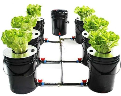 Hydroponic System Deep Culture Growing Kit - 5 Gallon 7 Buckets DWC Hydroponics Grow System with Drip Irrigation for Vegetables