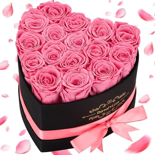 MestectPET 16 rosa eviga rosor hjärta presentförpackning, infinity rosor konserverade blommor rosenlåda, alla hjärtans dag mors dag födelsedag bröllopsdag gåvor för mor flickvän fru mormor kvinnor