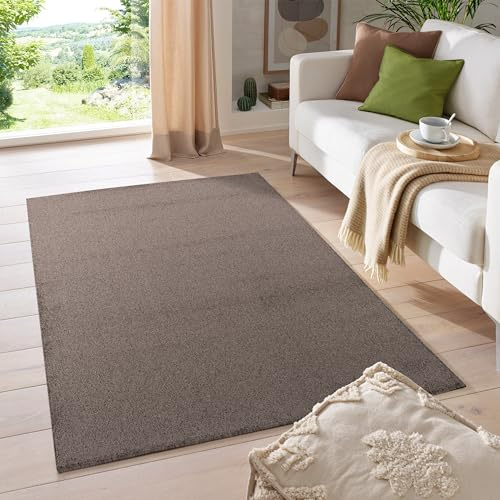 HomebyHome Teppich 240x340 cm Braun, Kurzflor, Einfarbig, Modern, Rechteckig, rutschfest, Pflegeleicht, XXL Bodenteppich für Wohnzimmer, Schlafzimmer, Esszimmer