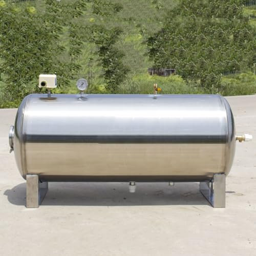 guoyjmm Tanque de Presión de Acero Inoxidable, 100 160 200L, Vaso de Expansión, Tanque de Presión de Almacenamiento de Agua 220V, para el Hogar/Jardín/Agricultura,160L/42.3Gal
