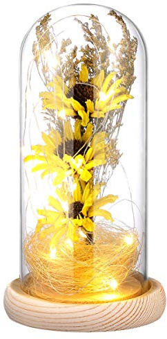 FRCOLOR Lampada Girasole Mini Con Cupola in Vetro e Luci Led Per Piante Decorazione Da Tavolo Giallo