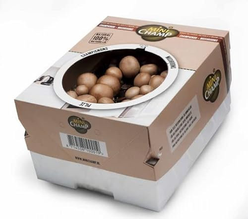 7.5 Litre Brown Button Mushroom Growing Kit - Grown Your Own - Instructions Included