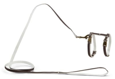 Designed by Lotte Katzengeschirr, Nylon, 10 mm x 27-45 cm, Braun