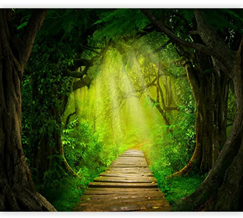 murando Fototapete selbstklebend Landschaft Brücke 294x210cm Foto Tapete Tapetenfolie Möbelfolie Wandverkleidung Wandtapete Motivtapeten Bildtapete Wohnzimmer 3d Effekt Modern Wald Natur grün Weg