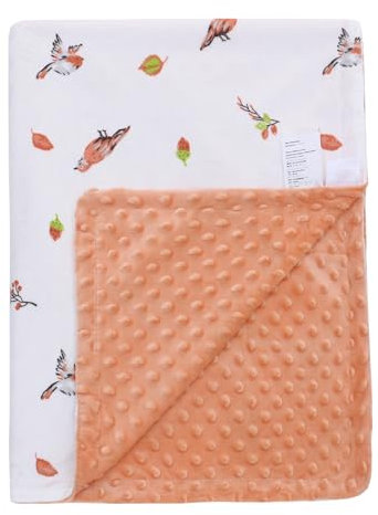 LAT Babydecke Kinderdecke mit Minky 75x100 cm - Babydecke Kinderwagen Kuscheldecke Baumwolle Kinder für Neugeborenen Mädchen Junge (Vögelchen, Sommerdecke)
