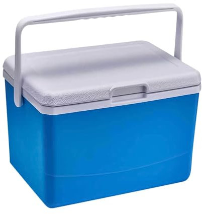 Kühlgerät für die Kühlbox | Camping-Kühlbox | Tragbarer Camping-Kühlschrank, 5 l Kühlbox, multifunktionale Kühlschränke, Hartkühlbox, Isolierkühlschränke von r
