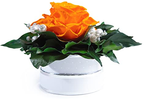 Infinity Rosenbox Kristall und Perlen 1 echte Rose haltbar Mama Geschenk Muttertag (Gelb)