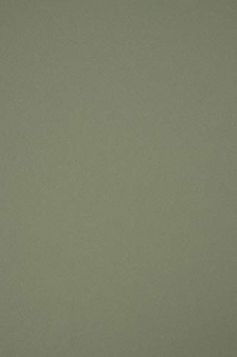 Netuno 100x Karton Olivgrün DIN A4 21x29,7 cm matt recycelt & elegant | 250g Materica Verdigris · matter Bastelkarton, mit Baumwollfasern für Broschüren, Basteln, Karten & Einladungen