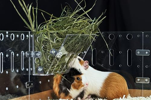 GuineaLoft™ Heu-Futterstation - Der optimale Futterplatz für Kleintiere wie Meerschweinchen, Kaninchen und Chinchillas. Von erfahrenen Besitzern entwickelt, um Effizienz und Gesundheit zu fördern.