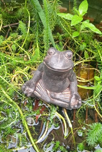 Inspirational Gifting 17cm Zen Frog Dude in Bronze effect finish - this delightful and comical Zen Frog is so cool!