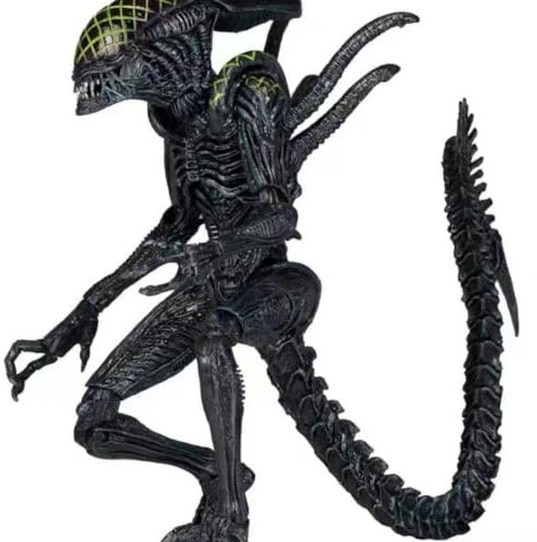 For Alien Vs. Predator AVP Alien Våg Blomhuvud Alien Figur Anime Figur Modell Staty Karaktär Samlarföremål Dekorationer Hantverk Gåvor