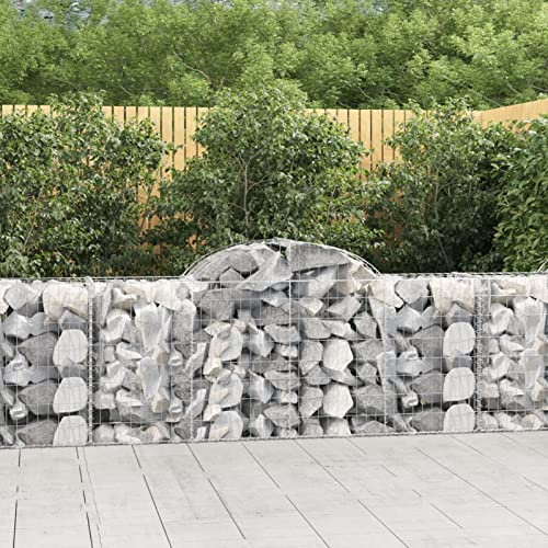 ShGaxin Cesti Gabbioni ad Arco 11 pz 200x50x80/100 cm Ferro Zincato,Cesti Gabbioni ad Arco,Gabbione per Sassi,Gabbioni Metallici per Pietre-3146308