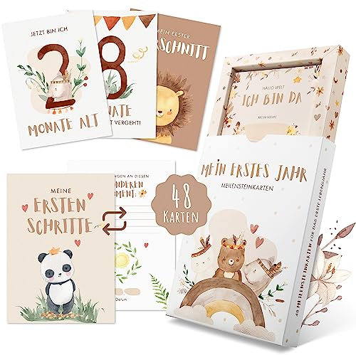 EULENTALER® Meilensteinkarten Baby I Das Original I Von Pädagogen gestaltet I Mit handgemalten Boho Illustrationen I Monatskarten mit beschreibaren Rückseiten I 48 Karten mit Box Mein erstes Jahr