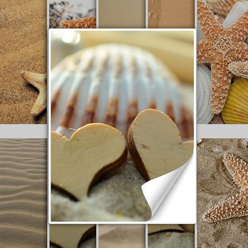 GRAZDesign Fliesenaufkleber Bad & Küche Strand Muscheln Meer braun Fliesenbilder Klebefliesen selbstklebend - 20x25cm / 20 Stück