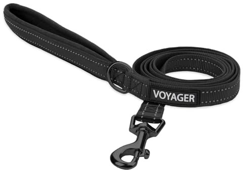 Voyager Reflekterande hundkoppel med neoprenhandtag, 1,8 m långt, stöder små, medelstora och stora rasvalpar, söta och slitstarka för promenader, löpning och träning – svart, L