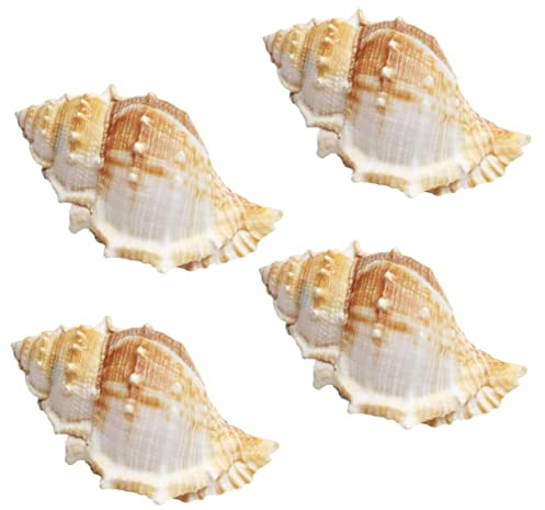 Milisten 4stücke Natürliche Meeresmuschel Deko Für Aquarien Und Handwerk Für Strand Und Nautik-Dekoration Mit Entspannendem Für Ihr Zuhause
