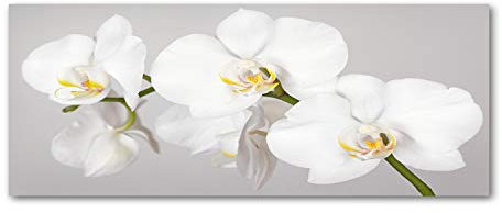 Tulup Glas-Bild Wandbild aus Glas - Wandkunst - Wandbild hinter gehärtetem Sicherheitsglas - Dekorative Wand für Küche & Wohnzimmer 125x50 - Blumen & Pflanzen - Orchidee - Weiß
