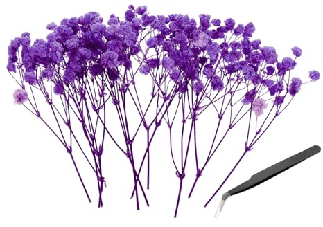 PATIKIL 30 Stück Mini Schleierkraut Getrocknet 10cm Rosenviolett | Natürliche Gypsophila Getrocknete, Trockenblumen für DIY-Kränze Handwerk Geschenk Hochzeit Karte