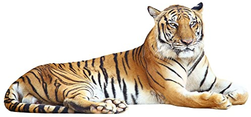 GRAZDesign Wandtattoo Tiger liegend | Wandaufkleber Afrika | Wandsticker Deko Aufkleber 3d - 87x40cm