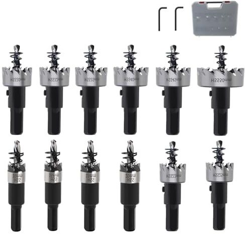 12 Stück Lochsäge Hartmetall Bohrer 16–50mm Metall Lochsägen Bohrer Set HSS Stahl Lochschneider Carbid Zentrierbohrer Lochsägen Set mit 2 L-Wrench für Mental Wood Edelstahl Kunststoff Eisen