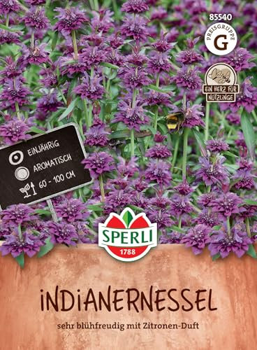 Sperli Indianernesselsamen 85540 - einjährig - aromatische Sorte - sehr blühfreudig - Zitronen Duft - 60-100cm - lange blütezeit - Saatgut, Blumensamen,