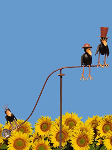 Pommerntraum ®| Windspiel Vogelwippe Rabenwindspiel Vogel Vögel Raben
