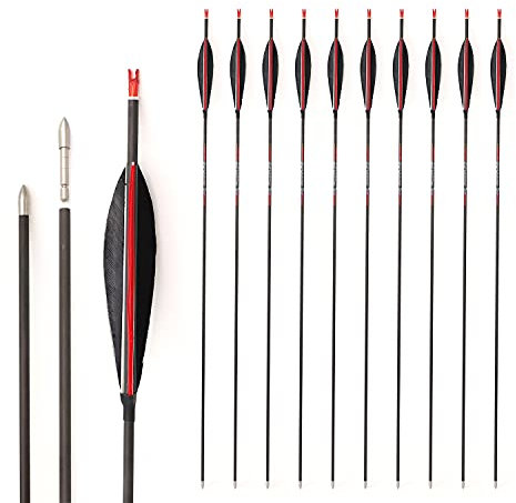 ACCMOS Spine 800 Reinem Kohlenstoff Pfeil ID 4,2 mm Federn in Shuttle Form Jagdpfeile 29 Zoll Übungspfeil, für Erwachsene Jugend Bogensport 12 Stück (Spine 800, 29 inch)