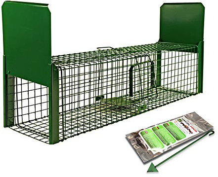 Holtaz Fallen Strong Grün 130x34x34 cm 2 Türen Marderfalle Katzenfalle Fuchsfalle Biberfalle Tierfalle Kastenfalle Drahtfalle Lebendfalle Mit Extra Köder