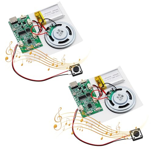 USB Soundmodul AYWHP 2PCS Musik Sprachaufzeichnungsmodul mit Lautsprecher MP3 USB Kabel Aufladbarer Akku, Top Lautsprecher für DIY Karten, Geschenke, Spielwaren, selbst gestalten