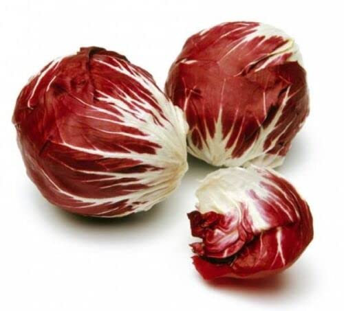 RADICCHIO * PALLA ROSA * VITAMIN PACKED * 100 SEEDS *