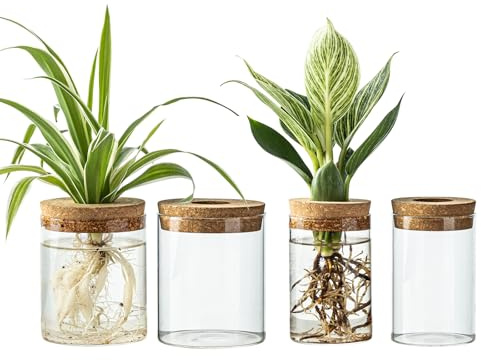 CHPINDAM Glass Propagation Stations for Plants -Desktop Flower Vases,Propagation Flower Vases Set – 2 Large & 2 Small for Plant Cuttings，for Living Room, Bedroom Decoration,Home,Office Decor (4)
